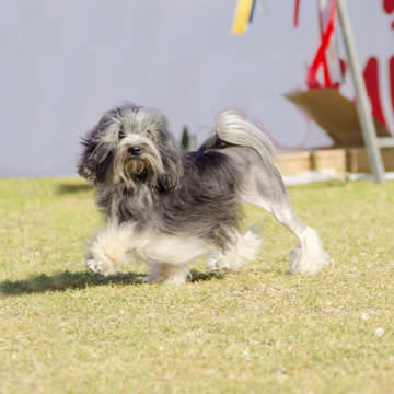 Depositphotos 54783299 S (1)