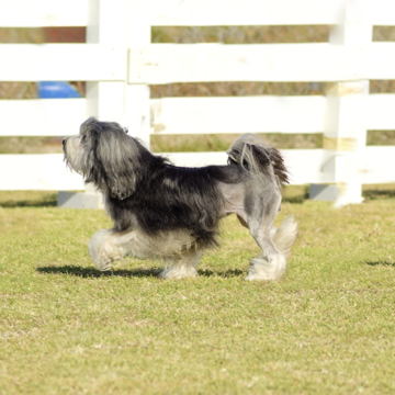 Depositphotos 54287239 S (2)